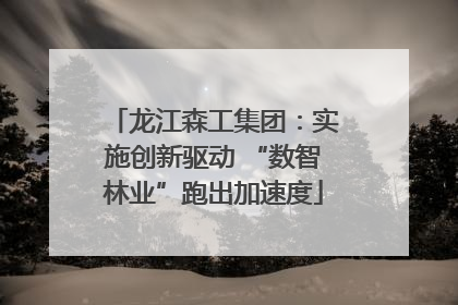 龙江森工集团：实施创新驱动 “数智林业”跑出加速度